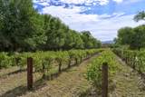 3819-3821 Corrales Road - Photo 86