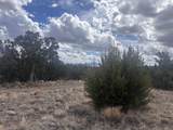 498 Starfire Loop - Photo 26