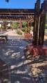 2210 Miguel Chavez Road - Photo 7