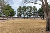 2806 Valle Grande - Photo 96