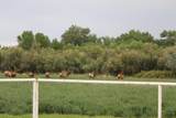 22 Paizalas Drive - Photo 50