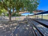 57 Edmundo Road - Photo 116