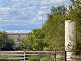 57 Edmundo Road - Photo 117