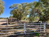 57 Edmundo Road - Photo 120