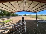 57 Edmundo Road - Photo 122