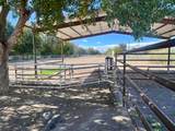 57 Edmundo Road - Photo 123