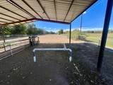 57 Edmundo Road - Photo 125