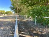 57 Edmundo Road - Photo 129