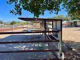57 Edmundo Road - Photo 138