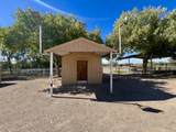 57 Edmundo Road - Photo 141