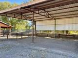 57 Edmundo Road - Photo 147