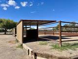 57 Edmundo Road - Photo 74