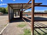 57 Edmundo Road - Photo 75