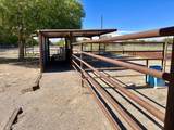 57 Edmundo Road - Photo 80