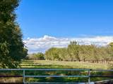 57 Edmundo Road - Photo 9