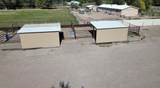 57 Edmundo Road - Photo 92