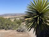 194 Camino Barranca - Photo 24