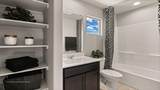 1501 Brillo Del Cielo Street - Photo 24