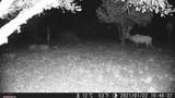 47 Pinewood Circle - Photo 93
