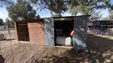 47 Pinewood Circle - Photo 98