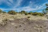  Anasazi Trails Loop Lot 63 Loop - Photo 15