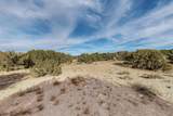  Anasazi Trails Loop Lot 63 Loop - Photo 28