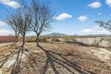 1711-G El Camino Real Street - Photo 40