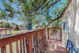 501 Calle De La Angel - Photo 57