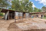 1504 Lucyle Place - Photo 42