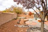 10315 Pintura Place - Photo 48