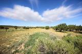 19 Tierra Del Sol Road - Photo 38