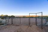 41 La Puerta Trail - Photo 8