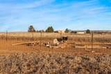 1257 Dinkle Road - Photo 33