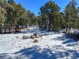 183 Naranjo Creek Road - Photo 35