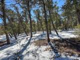 183 Naranjo Creek Road - Photo 48