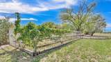 535 Cacahuate - Photo 52