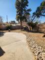 2917 Espanola Street - Photo 49
