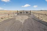 97 Cattle Loop - Photo 5