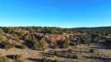 2324 Lost Saddle Loop Street - Photo 25