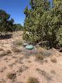 2324 Lost Saddle Loop Street - Photo 27