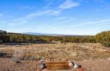 3175 Jumano Trail - Photo 37