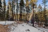 455 Obsidian Road - Photo 50