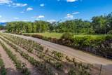 7011 Rio Grande Boulevard - Photo 101