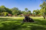 7011 Rio Grande Boulevard - Photo 83