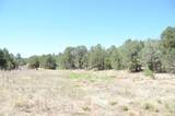 12 Ballenger Ranch Road - Photo 27