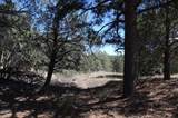 12 Ballenger Ranch Road - Photo 30