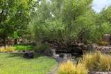 257 Camino De Lucia - Photo 51