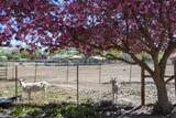 350 Applewood Road - Photo 6