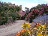 350 Applewood Road - Photo 95