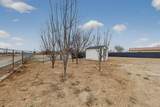 202 Wayne Road - Photo 49
